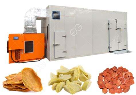 fruit drying machine|Commercial Mango Fruit Drying Dehydrator Machine.